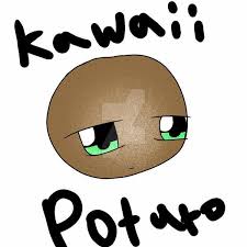 A potato flew around my room is a vine meme that became popular in late 2014. A Potato Flew Around My Room By Shubbleninja On Deviantart