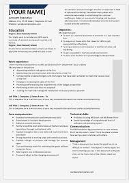 National Account Executive Resume Templates For Word Word