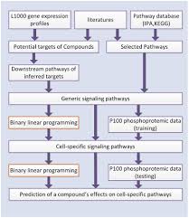 The Flow Chart Of The Proposed Approach To Infer A Cell Type
