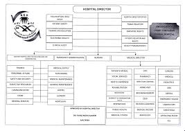 Organizational Chart Najran General Hospital