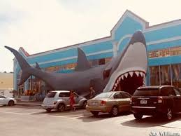 sneads ferry nc giant shark