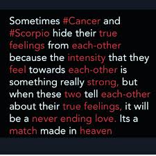 Scorpios can be lone wolf types because of their tendencies towards tactlessness. Scorpiocancer Cancer Zodiac Facts Scorpio And Cancer Cancer Quotes Zodiac