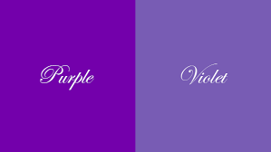 difference between violet and purple
