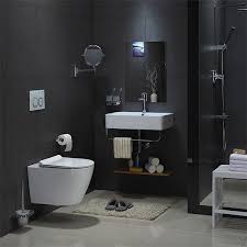 What Is The Best Wall Hung Toilet To