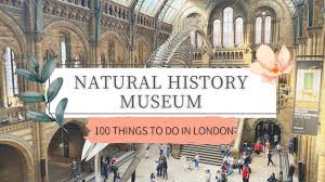 london natural history museum 100 thing