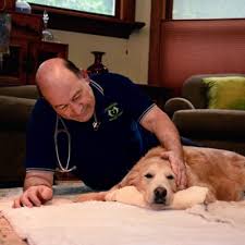 We are a team helping all of chicago and the chicagoland suburbs with pet euthanasia for dogs and cats in the comfort of home. About Compassionate Veterinary Hospice In Chicago Il