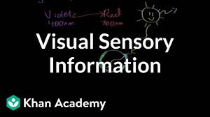 Visual Sensory Information Video Khan Academy