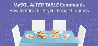 mysql alter table commands how to add