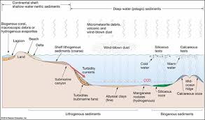 marine sediments pre lab