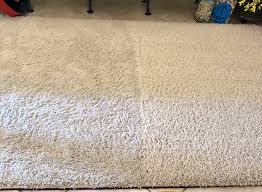 carpet cleaning all bright carpet