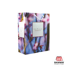 full colour printed paper bag supplier