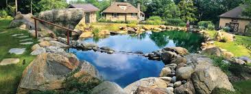 these gorgeous natural swimming pools