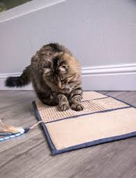 play burlap carpet cat scratch mat