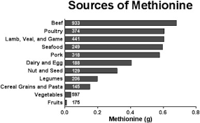 A Low Methionine Diet New Data For Cancer Therapy Favors