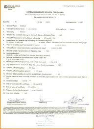 Transfer Certificate Application For Child Flowersheetcom