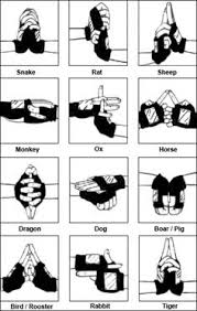 55 Best Hand Signs Images Naruto Hand Signs Anime Naruto