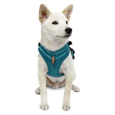Gooby Pioneer Dog Harness Small Dog Head In Harness With Control Handle And Seat Belt Restrain Captability