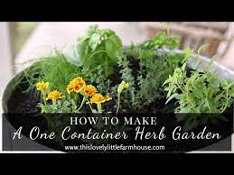 Diy One Container Herb Garden
