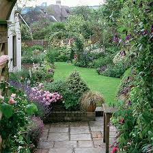 Estelle S Garden Envy