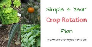 A Simple 4 Year Crop Rotation Plan Our Stoney Acres
