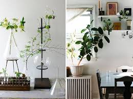 Las plantas poseen la capacidad de decorar con su sola presencia. Decoracion Con Plantas 70 Fotos Y Consejos De Interiores Verdes