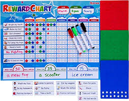 Ryven Kids Reward Chart Set Magnetic Responsibility And Good Behavior Chore Board With 210 Magnetic Stars 4 Dry Erase Markers For Multiple