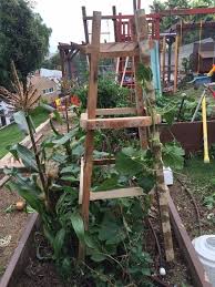 upcycled trellis ideas for garden