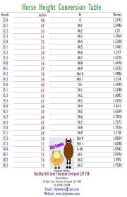 Measuring A Horse Horses Horse Grooming Horse Information