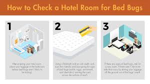 We always recommend travelers take the following steps to check their hotel rooms for bed bugs. The Frustrating Factors That Have Helped Bed Bugs Flourish
