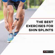 the best exercises for shin splints