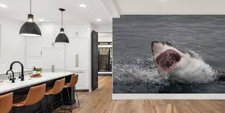 Shark Wallpaper Wall Murals