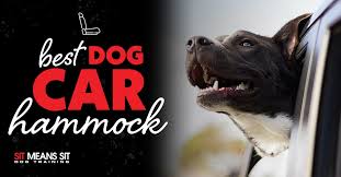 Best Dog Car Hammock Sit Means Sit