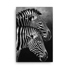 Zebra Couple Wall Art Hd Canvasbay