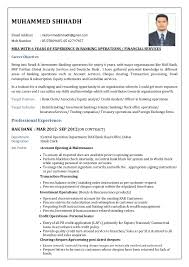 M sc nursing resume format for freshers, new resume. Using Correct Resume Format For Banking Jobs Best Resume Format
