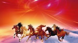 7 horses running hd wallpapers