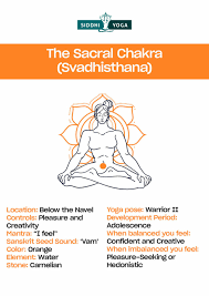 the seven main chakras explained