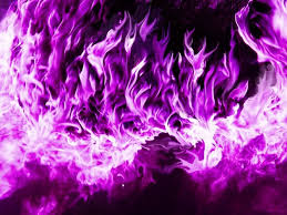 Imagini pentru foc violet argintiu