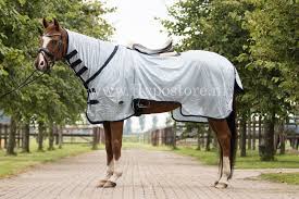 master exercise riding rug with neck