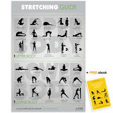 Laminated Stretching Guide Gym Poster Large 30x20 Chart
