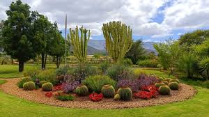 Cacti For A Lush Waterwise Garden