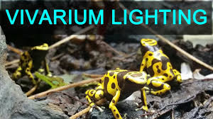 Vivarium Lighting
