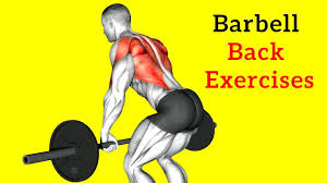 back exercises for building muscle m