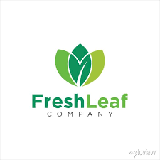 Abstract Green Leaf Logo Icon Vector