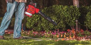 You can press the trigger on the handle to regulate the speed. The 11 Best Gas Leaf Blowers On Today S Market Anti Vibration Features