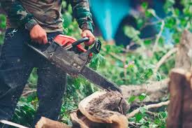 Falls church is in virginia, encompassing west falls church in fairfax county as well as the independent city of falls church (usually referred to as east falls church). Lopez Tree Services Tree Removing Services Fairfax Virginia