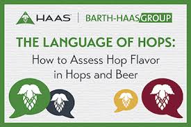 The Language Of Hops How To Assess Hop Flavor In Hops And