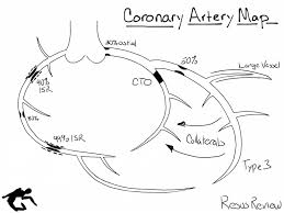 Right/left atria, right/left ventricles, pulmonary trunk, aorta, superior/inferior vena cavae, pulmonary veins, coronary sinus, right/left. Coronary Artery Diagramming Resus Review