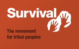 survival international (movement) 