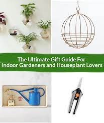 Indoor Plant Gifts The Houseplant