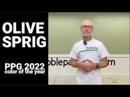 Olive Sprig Ppg 2022 Color Of The